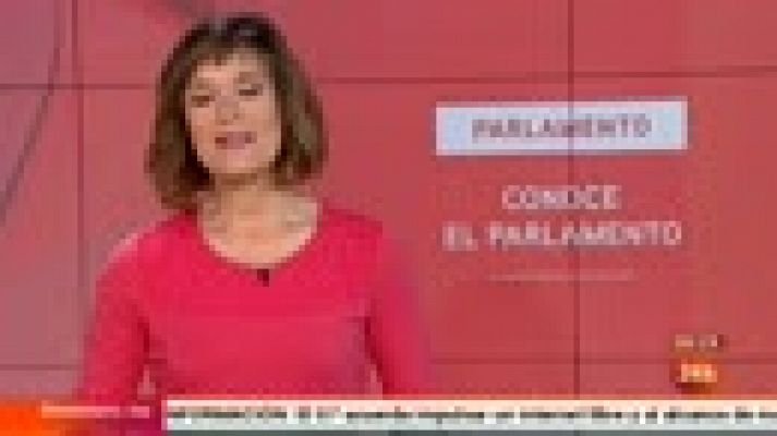 Parlamento - ILP sobre dependencia