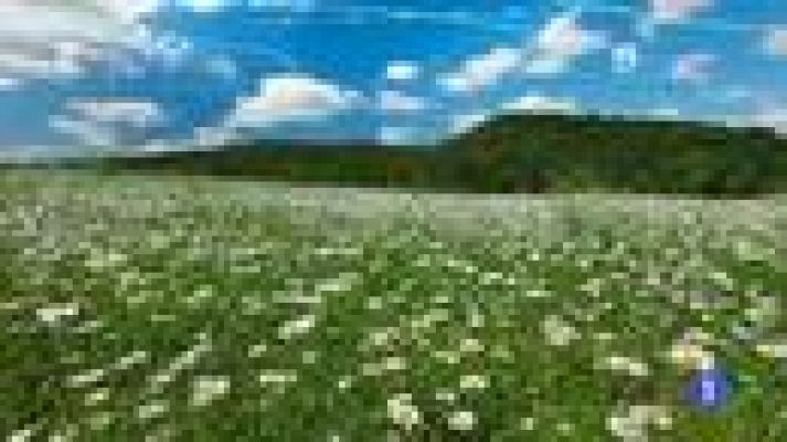 TeleCantabria - El tiempo en Cantabria - 02/05/16