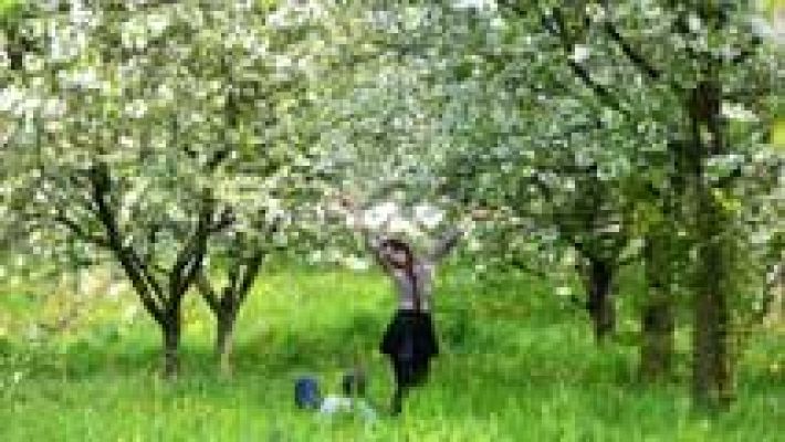 Informativo de Madrid - El Tiempo en la Comunidad de Madrid - 03/05/16