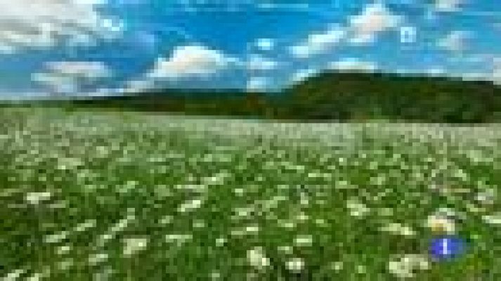 Noticias Murcia - El tiempo en la Región de Murcia - 03/05/2016