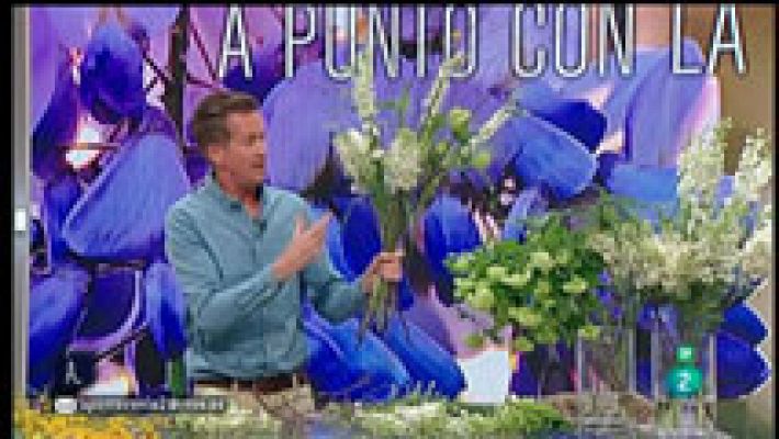 A punto con La 2 - Plantas trepadoras y jardín vertical