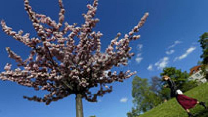 El tiempo - Cielos despejados en casi toda España y levante fuerte en el Estrecho