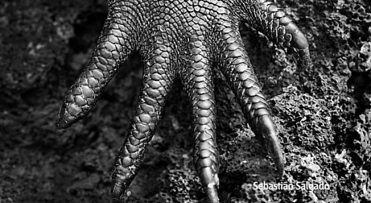 Universo UNED - Trabajo de campo etnográfico en pueblos indígenas