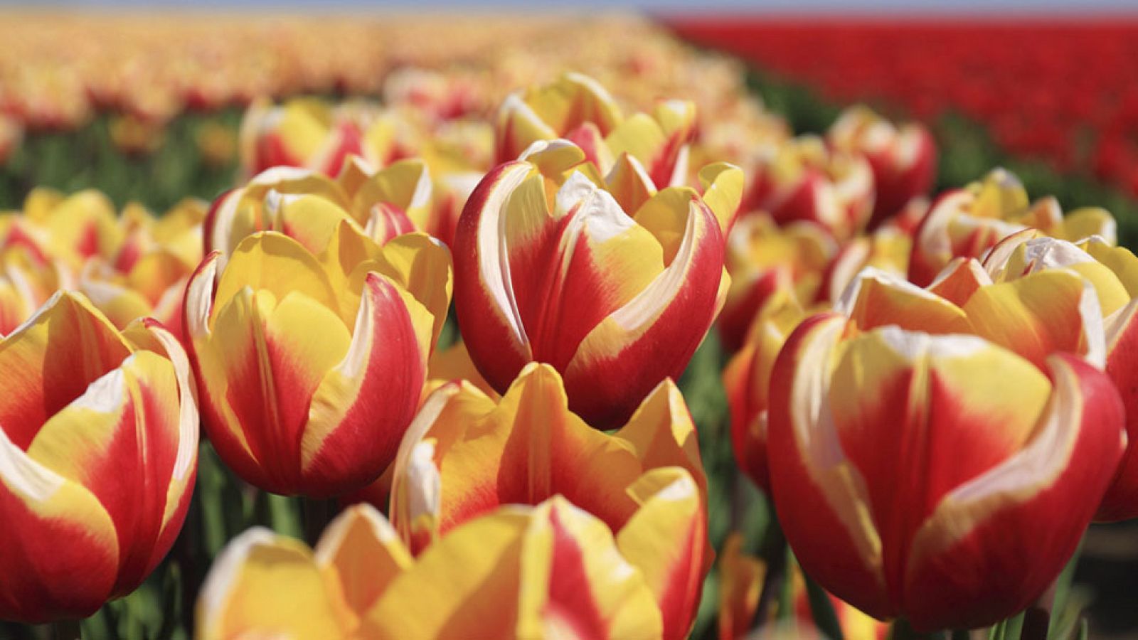 Suben las temperaturas en el norte peninsular