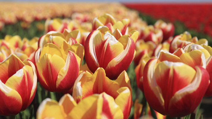 El tiempo - Suben las temperaturas en el norte peninsular