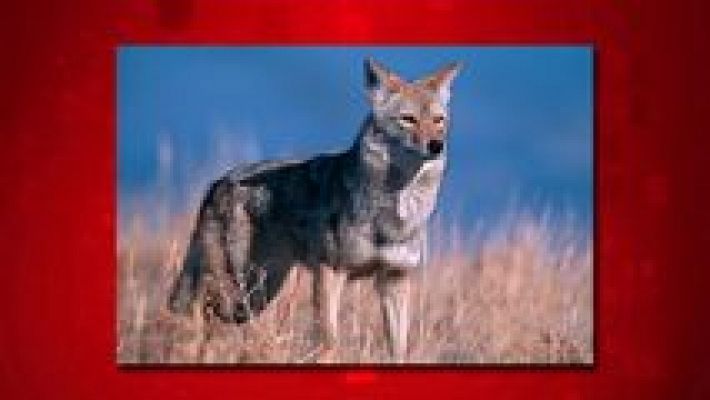 Saber y ganar - Saber y ganar - 04/05/16