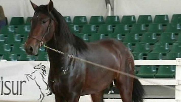 España en 24h - España en 24 horas - 04/05/16