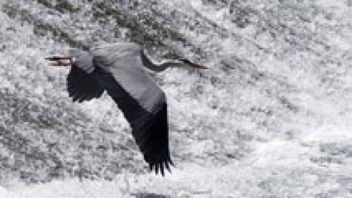 El tiempo - Lluvias, algunas fuertes, en extremo oeste peninsular