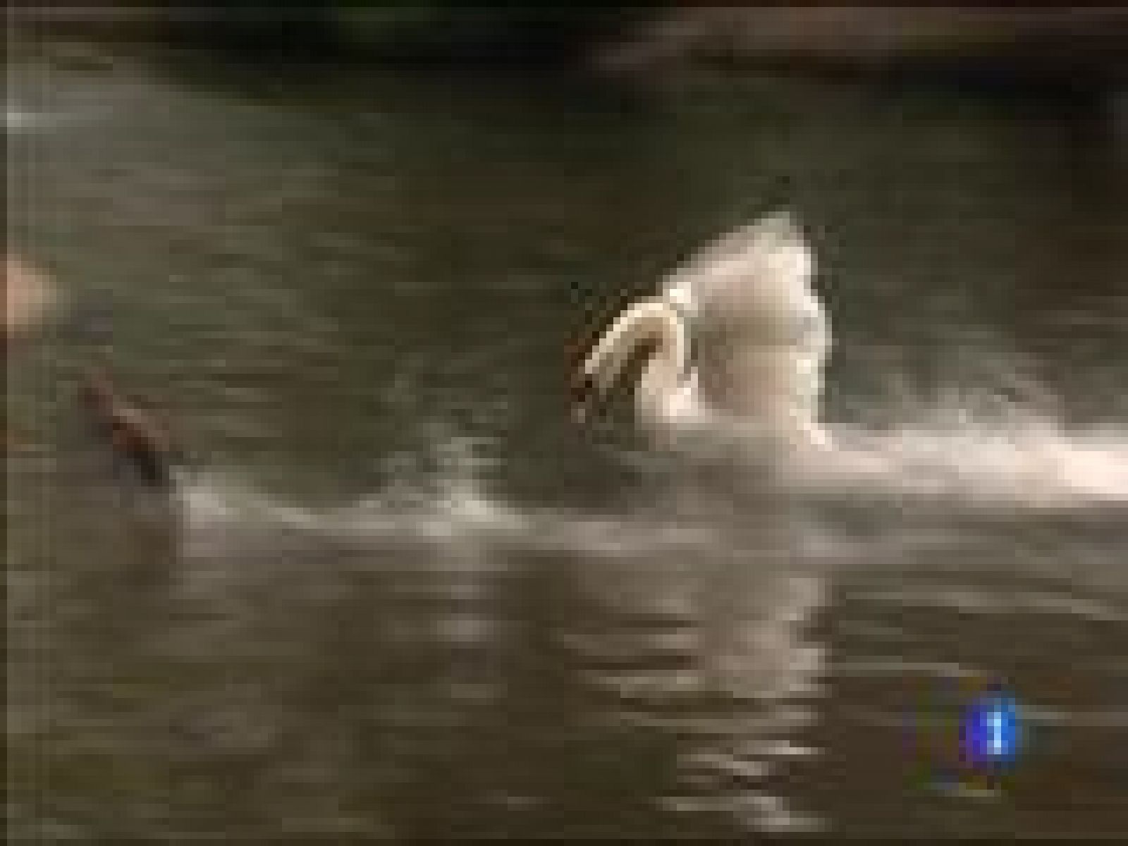 Panorama Regional 2 - 05/05/16 | Ver