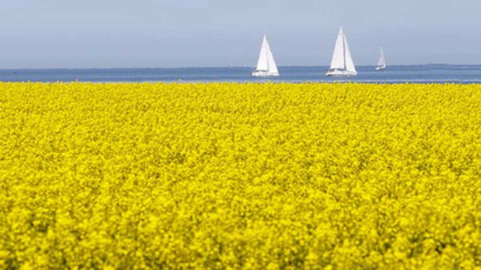 Nubosidad durante el día en la mayor parte de la Península y Baleares