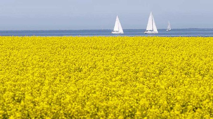 El tiempo - Nubosidad durante el día en la mayor parte de la Península y Baleares