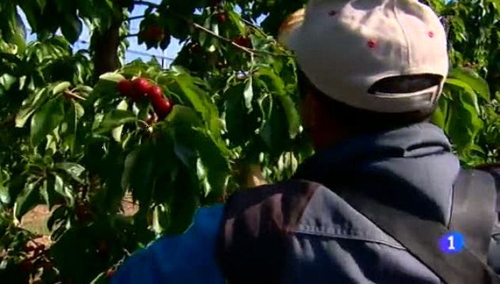 Exportaciones de fruta en Aragón