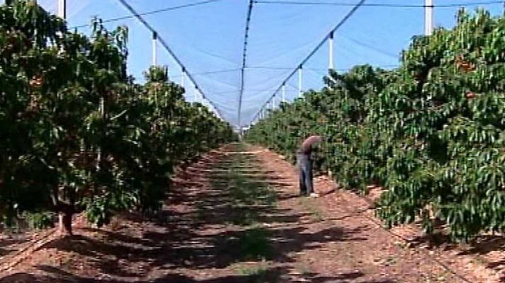 España en 24h - España en 24 horas - 06/05/16