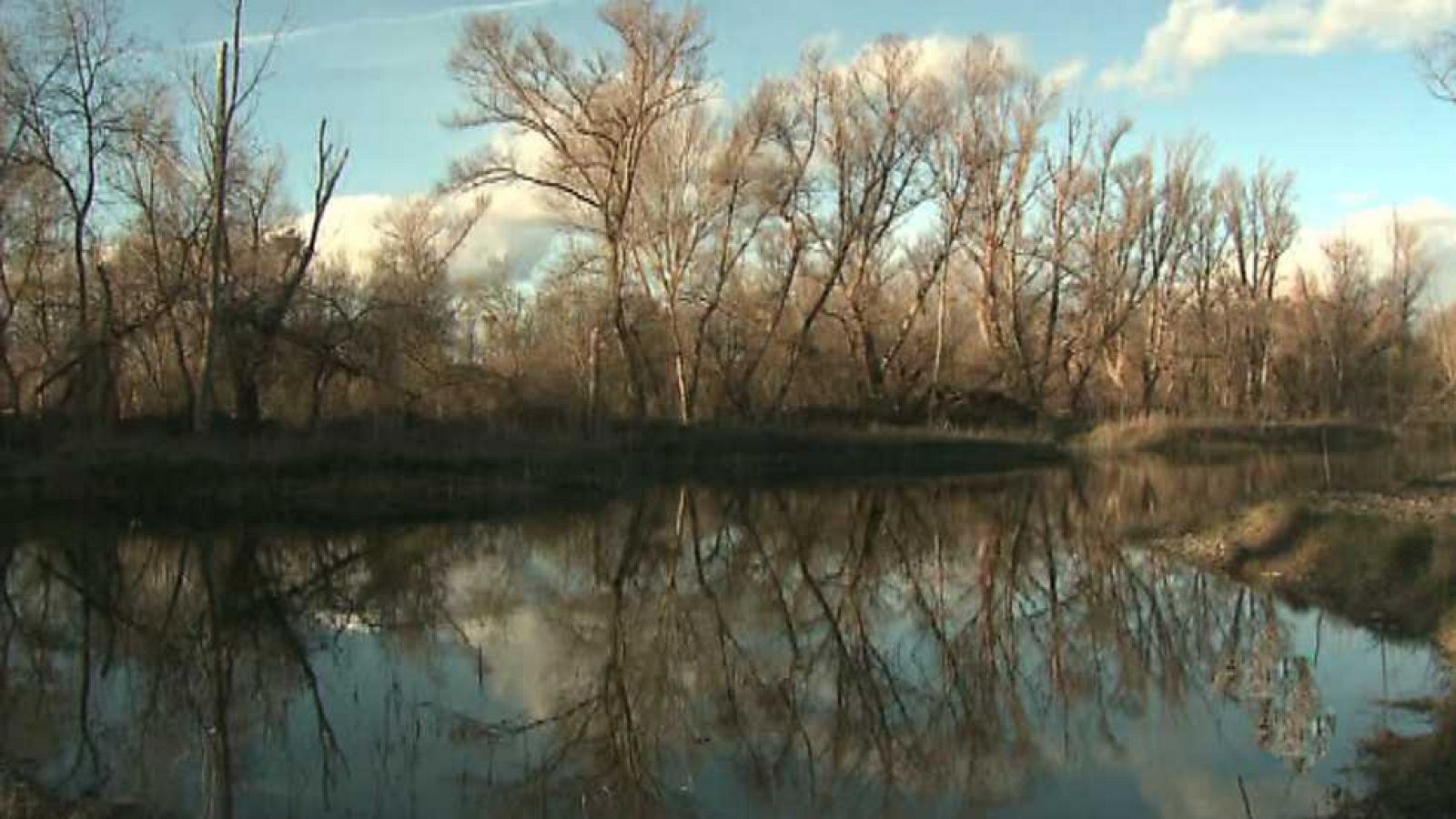 El escarabajo verde - Este río es mío