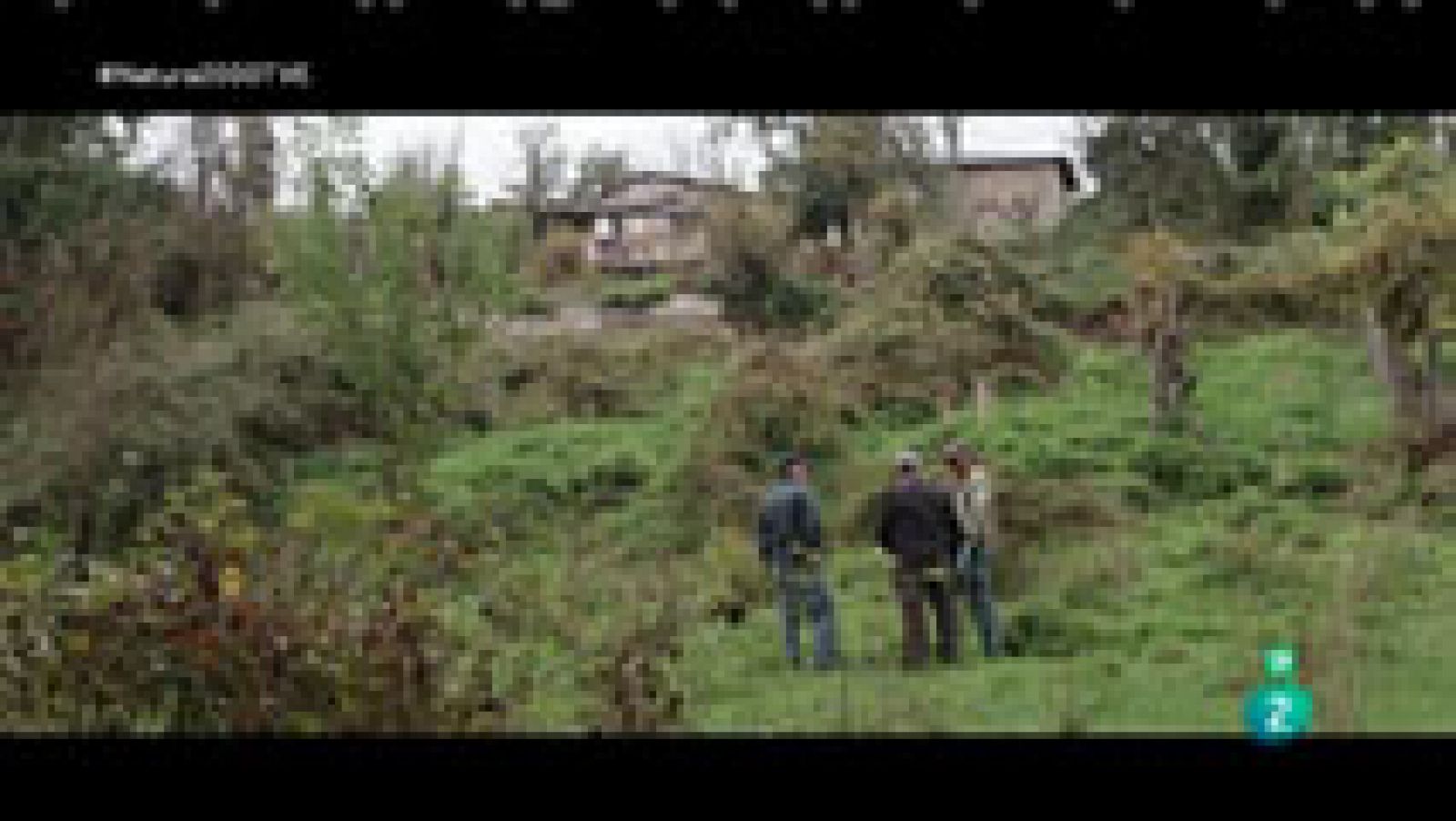 Red Natura 2000: Carreras de montaña | RTVE Play