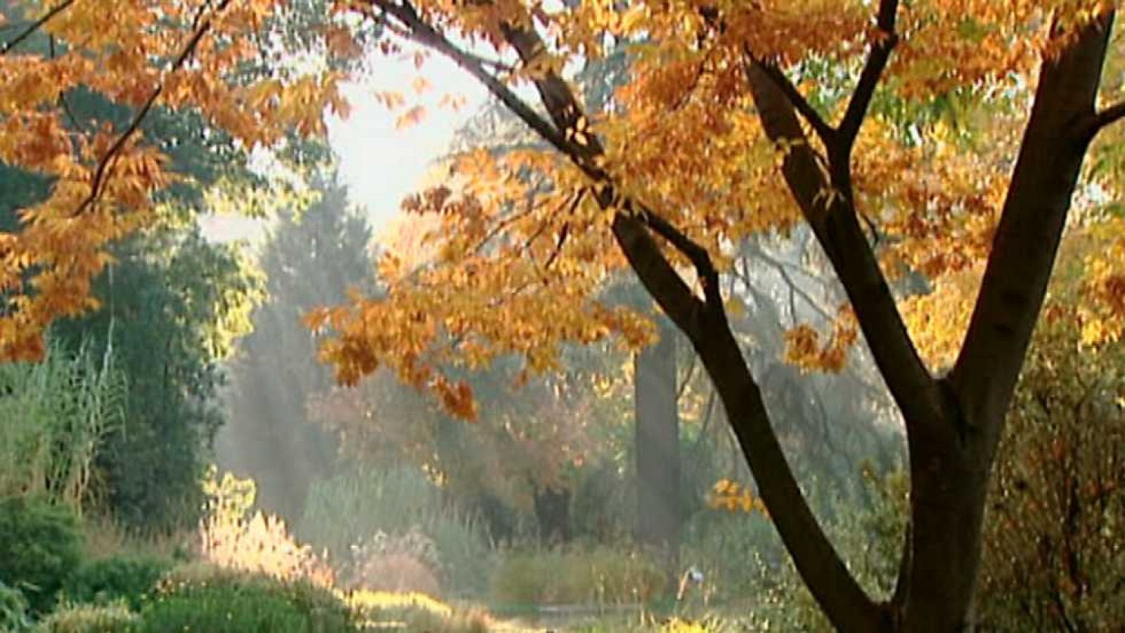 La aventura del saber - 09/05/16 - ver ahora