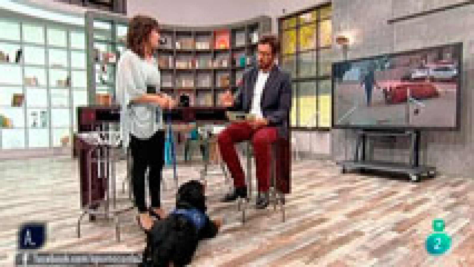 A punto con La 2: Animales en casa - Cuando el perro tiene miedo | RTVE Play