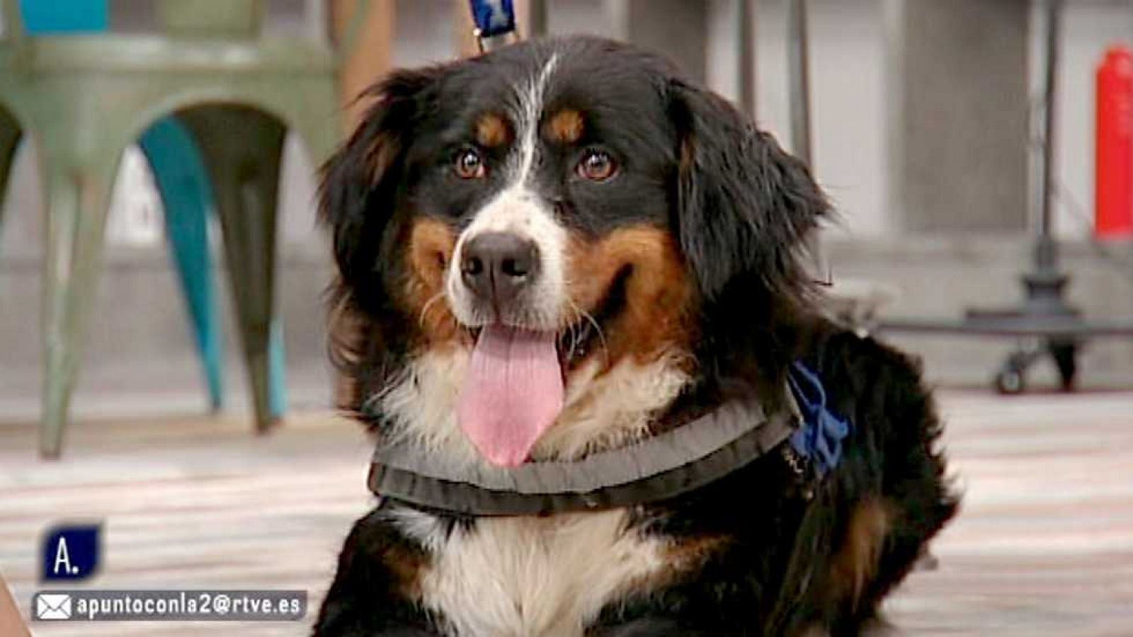 A punto con La 2 - 09/05/16 - Ver ahora