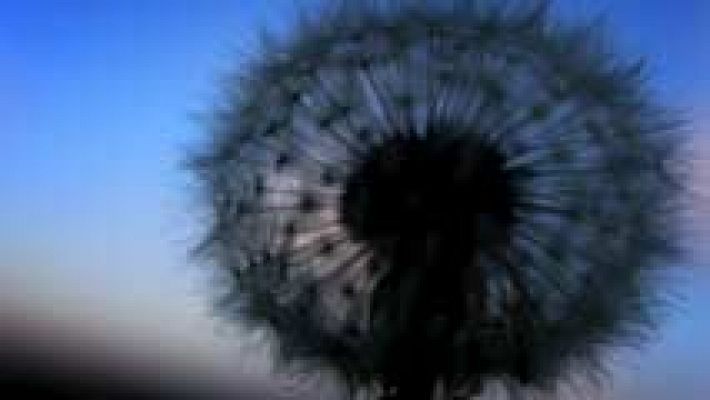 El tiempo - Lluvia y viento intenso en la mayor parte de España