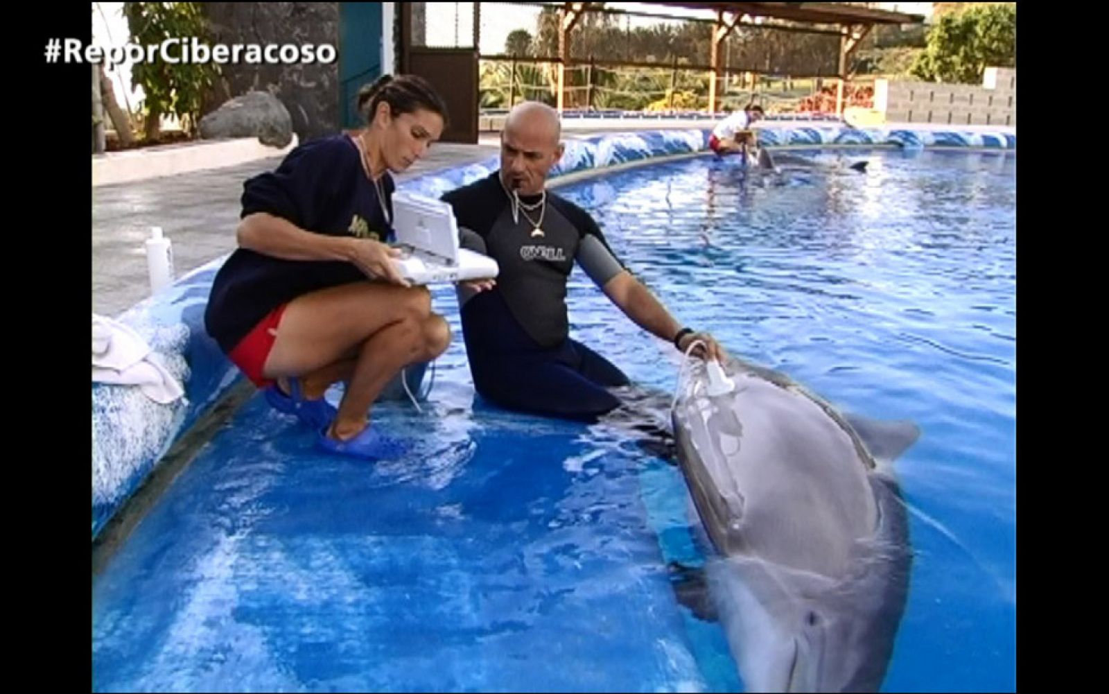 Jaime Mora entrevistó por última vez al entrenador de delfines que se suicidó tras sufrir un linchamiento en la red