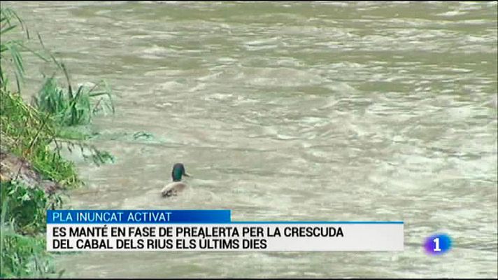 L'Informatiu - L'Informatiu 2 - 10/05/2016