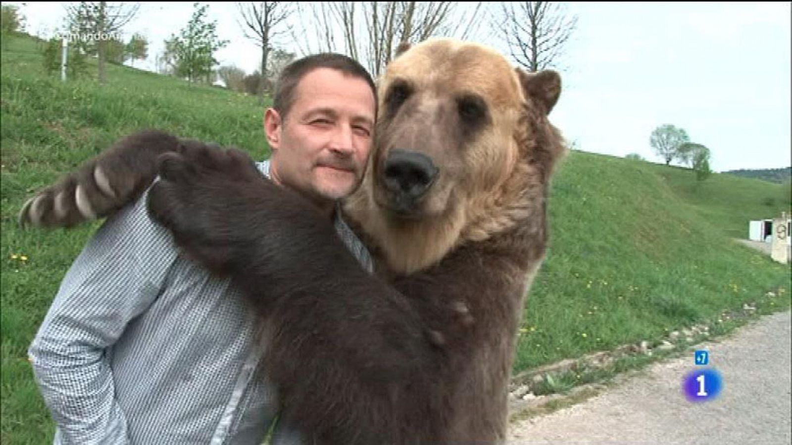 Comando Actualidad - Uno más de la família - Un oso como animal de compañía