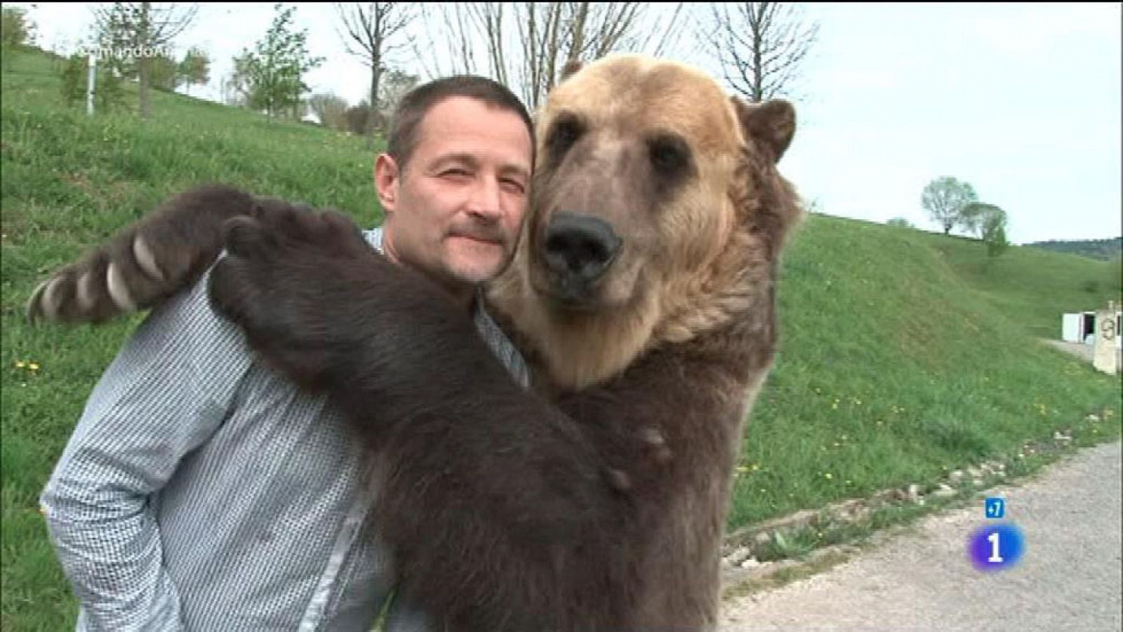 Comando Actualidad - Uno más de la família - Un oso como animal de compañía