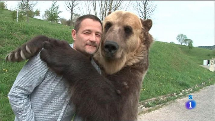 Comando Actualidad - Un oso como animal de compañía