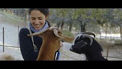 Red Natura 2000 - Casa Rural Riscos Altos (Carmen Bendala) - Avance