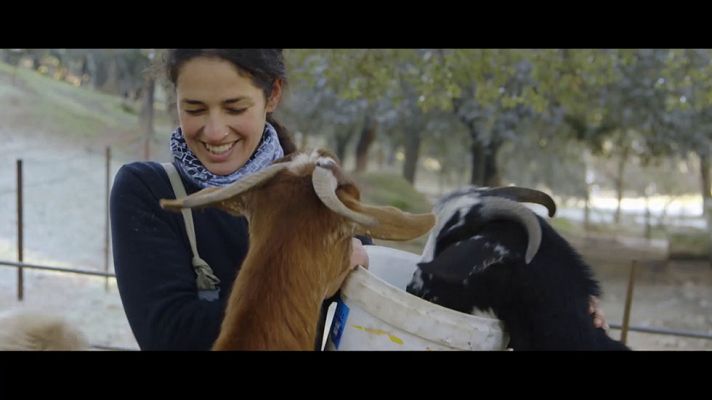 Casa Rural Riscos Altos (Carmen Bendala) - Avance