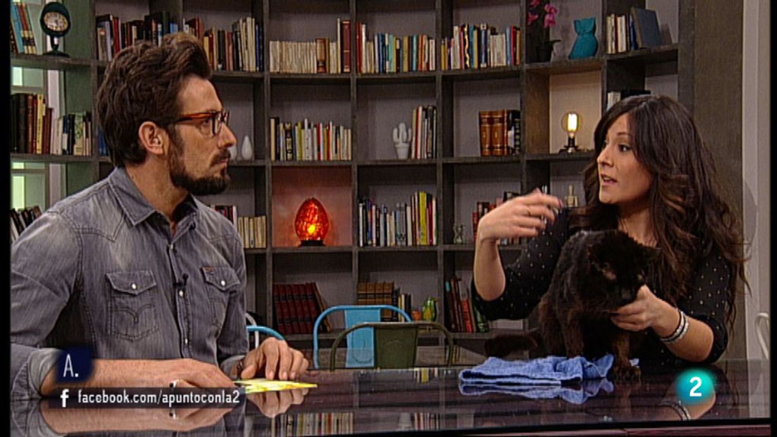 A punto con La 2 - Animales en casa - Cómo introducir un segundo gato en casa