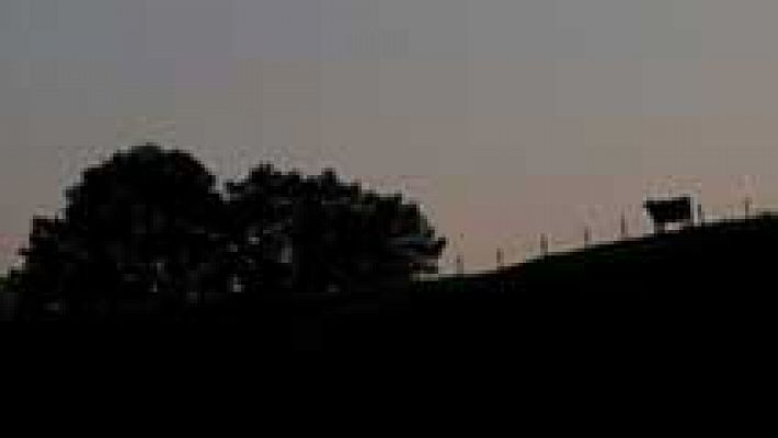 Informativo de Madrid - El Tiempo en la Comunidad de Madrid - 12/05/16