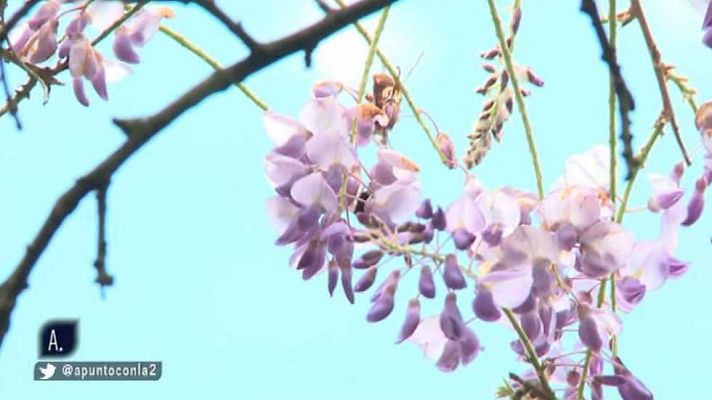 A punto con La 2 - A punto con La 2 - 12/05/16