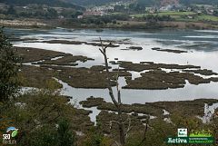 Red Natura 2000 - Los espacios naturales - Urdaibai