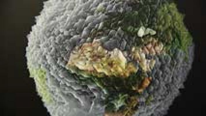 Informativo de Madrid - Informativo de Madrid 2 - 12/05/16