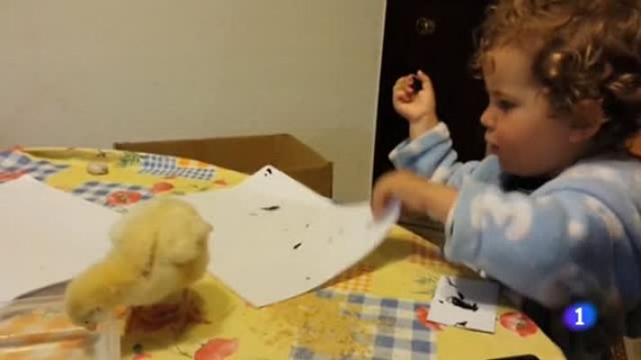 Telediario 1 - Los expertos alertan a los padres del peligro de la sobreexposición de sus hijos en las redes sociales