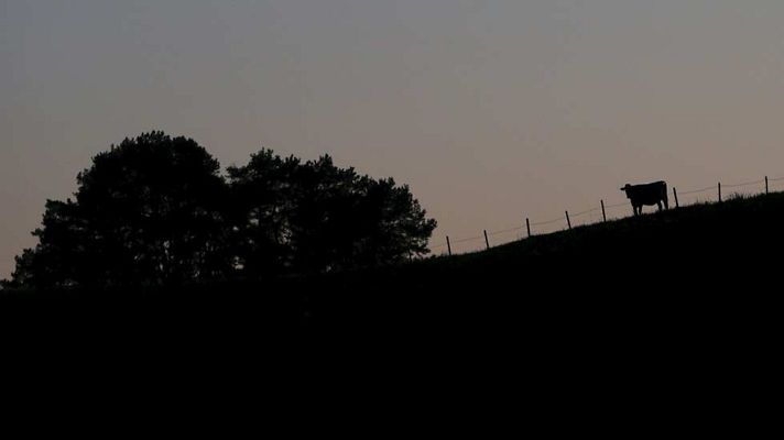 El tiempo - Las lluvias remiten y volverá el tiempo seco y soleado