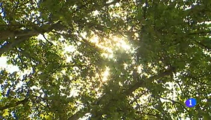 Noticias Aragón - El tiempo en Aragón - 17/05/16