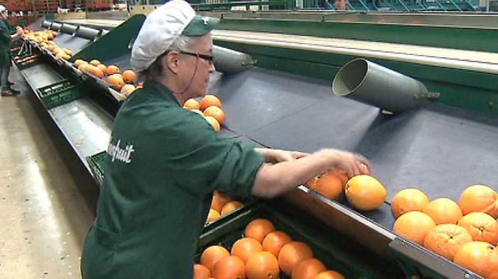 L'informatiu - Comunitat Valenciana - L'Informatiu - Comunitat Valenciana - 17/05/16