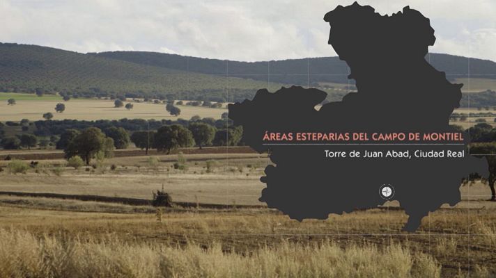 Red Natura 2000 - Áreas Esteparias del Campo de Montiel