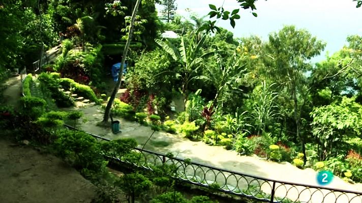 La 2 Noticias - De vertedero en la favela a parque ecológico ejemplar