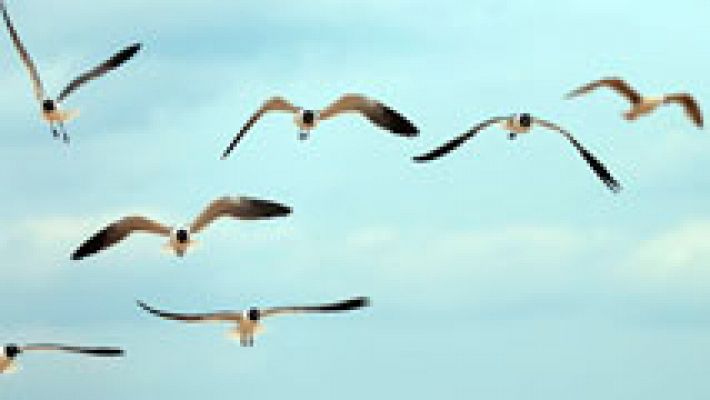 El tiempo - Viento fuerte en el valle del Ebro y nuboso en el norte peninsular