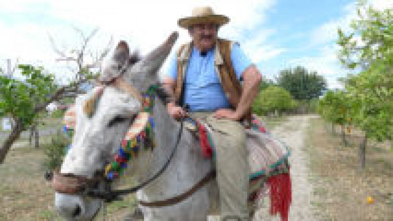 Los limones dulces de Juanito Orange