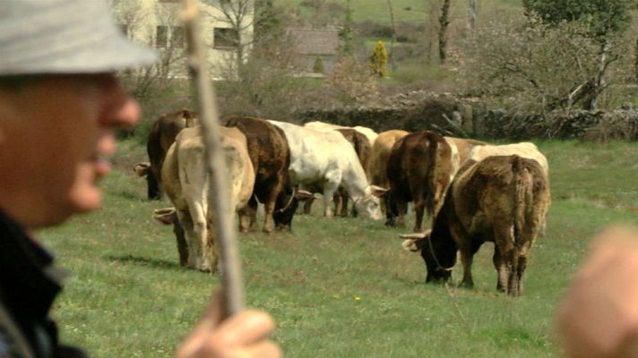 El potencial de la raza alistana