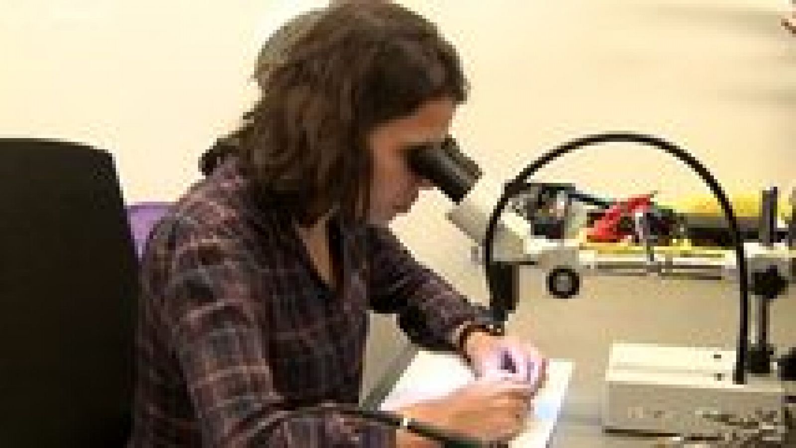 Aquí hay trabajo - 19/05/16 - ver ahora