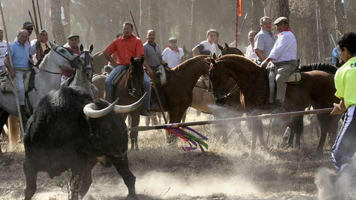 Telediario 1 - La Junta de Castilla y León prohíbe que se mate al Toro de la Vega