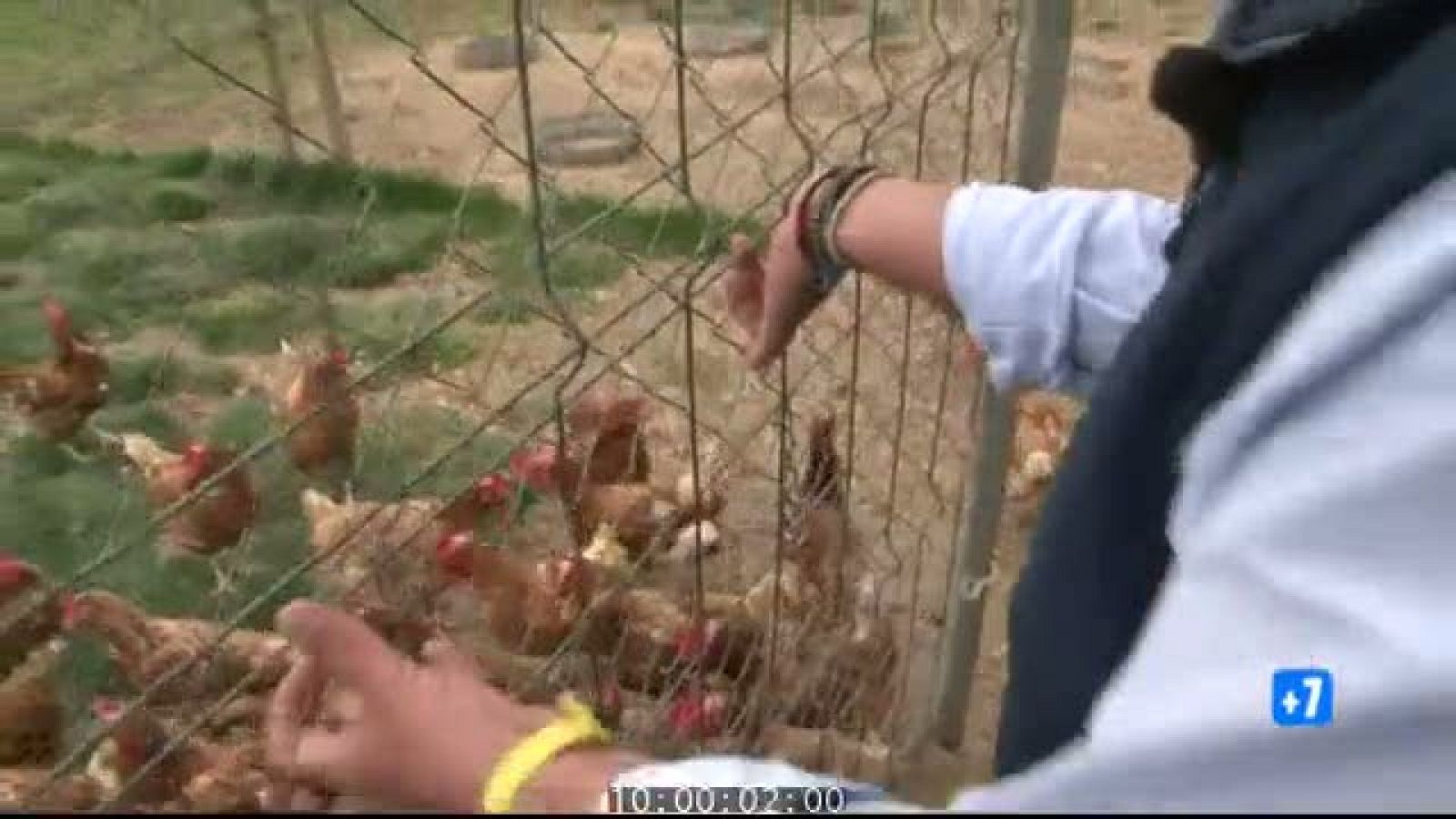 Comando Actualidad: Semana 21 - Avance | RTVE Play