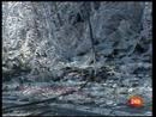 El tiempo - El Tiempo - 14/12/08