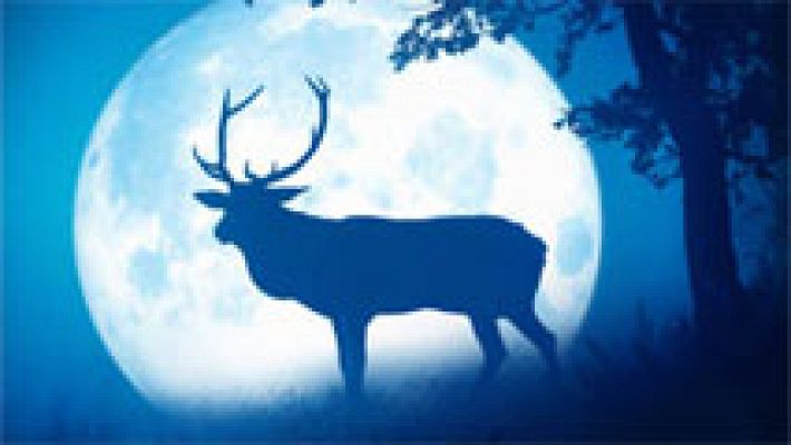 Días de cine - 'Las estaciones'