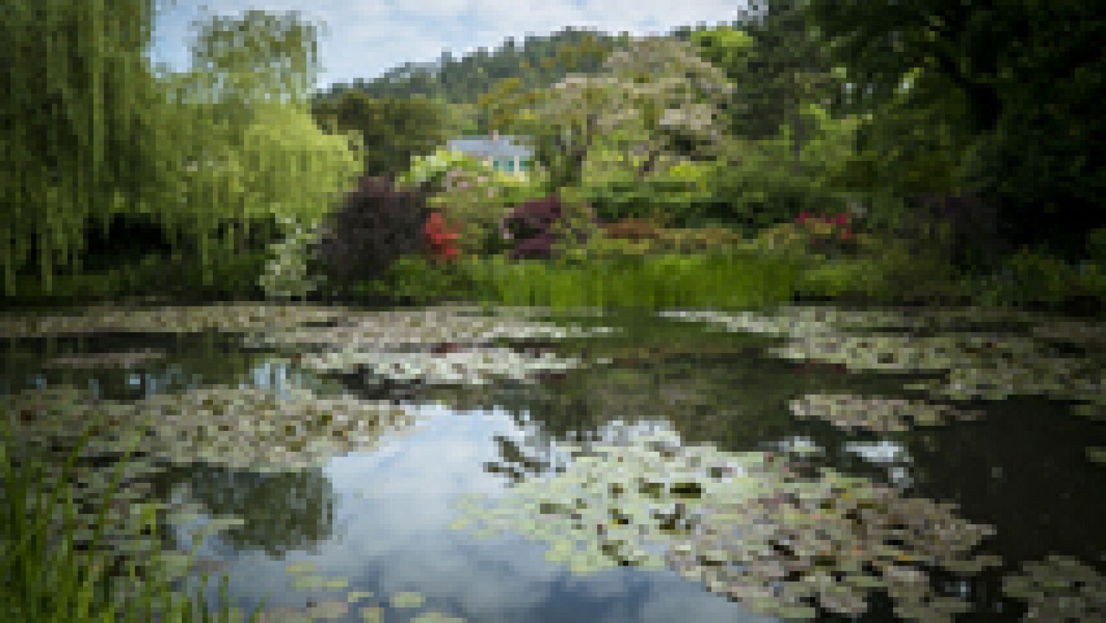 Cultura en Rtve.es: Tráiler de 'Pintando el jardín moderno: de Monet a Matisse' | RTVE Play